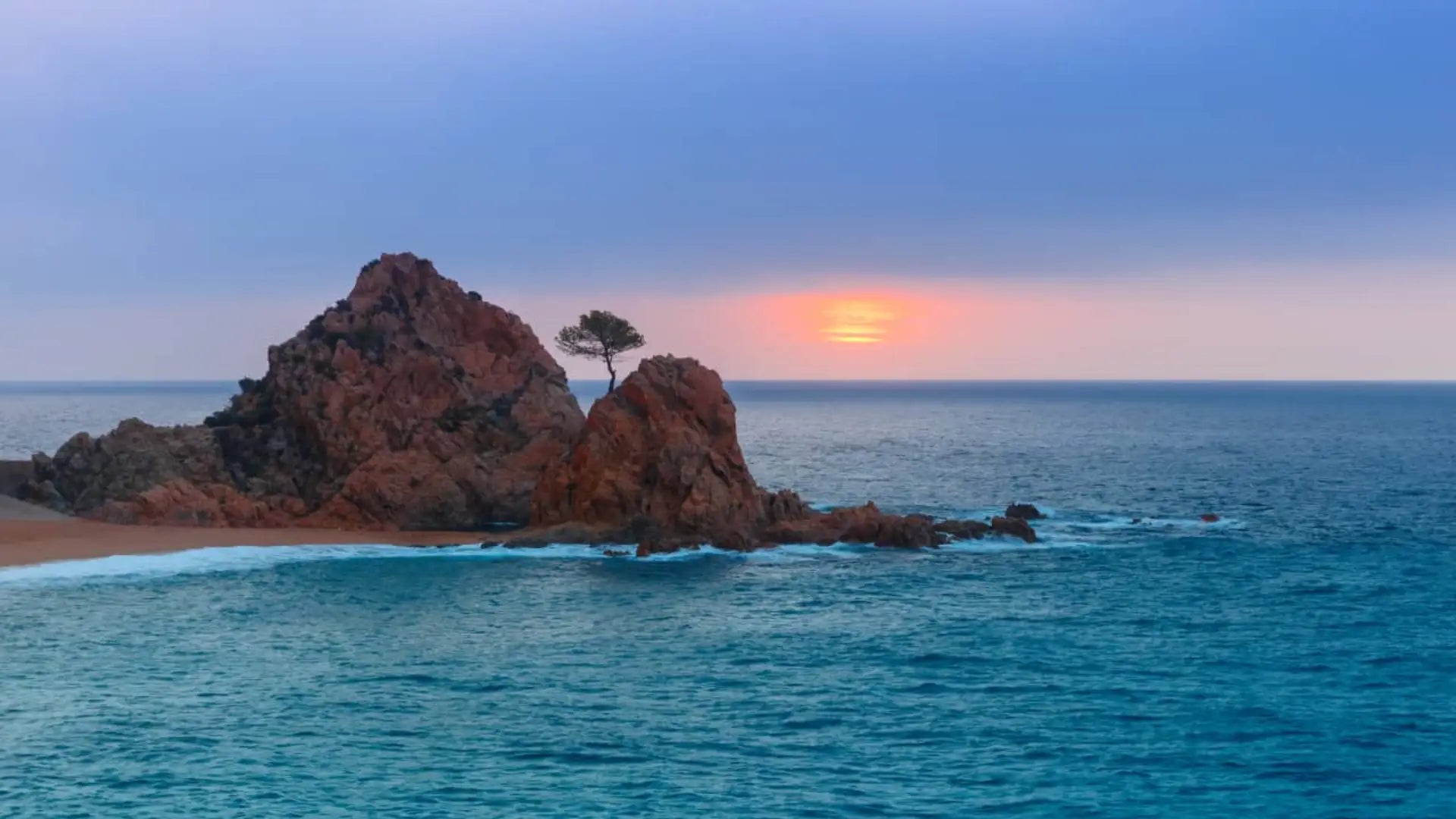 Discover Baja Bliss: A Refreshing New Flavor