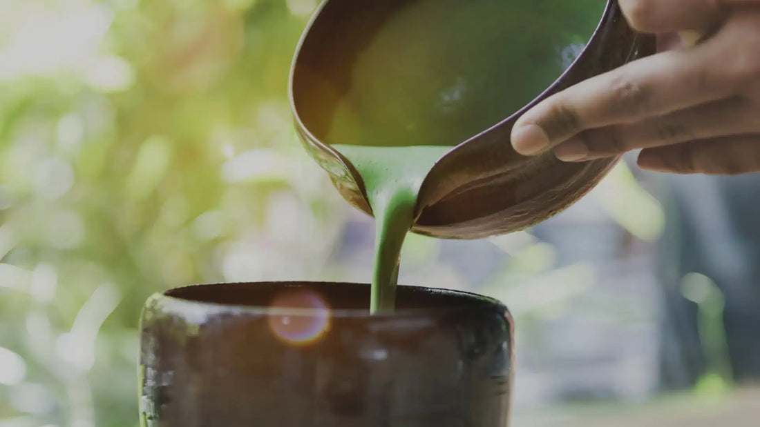 GÜD Tonics kava drink guide header image
