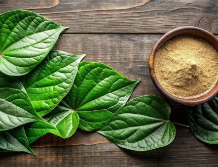Thumbnail Picture of Adapting Kava for the Modern World Why Herbal Elixir of GÜD Tonics Are the Future of Relaxation by GUD Tonics