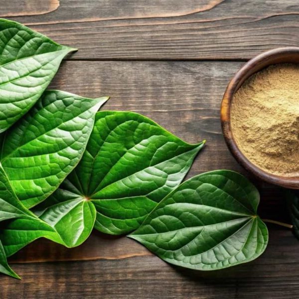 Thumbnail Picture of Adapting Kava for the Modern World Why Herbal Elixir of GÜD Tonics Are the Future of Relaxation by GUD Tonics