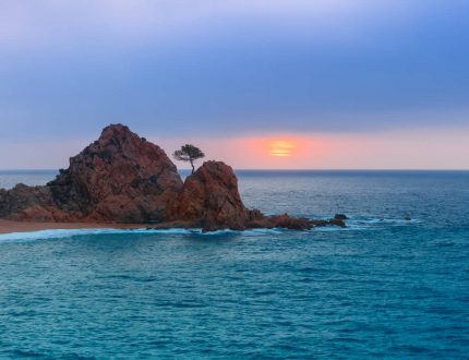 Thumbnail Picture of Baja Bliss A Natural Tropical Elixir for Every Moment by GUD Tonics
