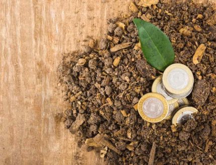 Thumbnail Picture of Exploring Kavalactones The Science Behind Kava’s Relaxing Effects by GUD Tonics