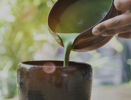 imagen Embracing Kava in 2025 The Benefits and How GÜD Tonics Brings It to You Gud Tonics