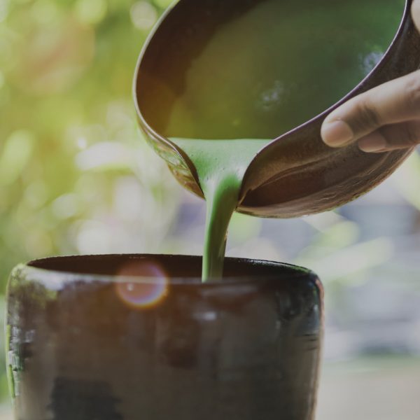 imagen Embracing Kava in 2025 The Benefits and How GÜD Tonics Brings It to You Gud Tonics